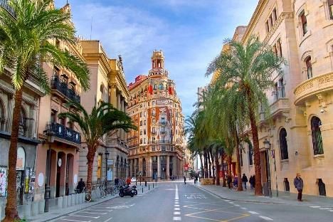 Palmeras y edificios históricos en el centro de Valencia